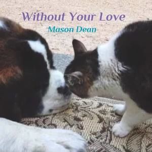 Meet your Posher, Mason